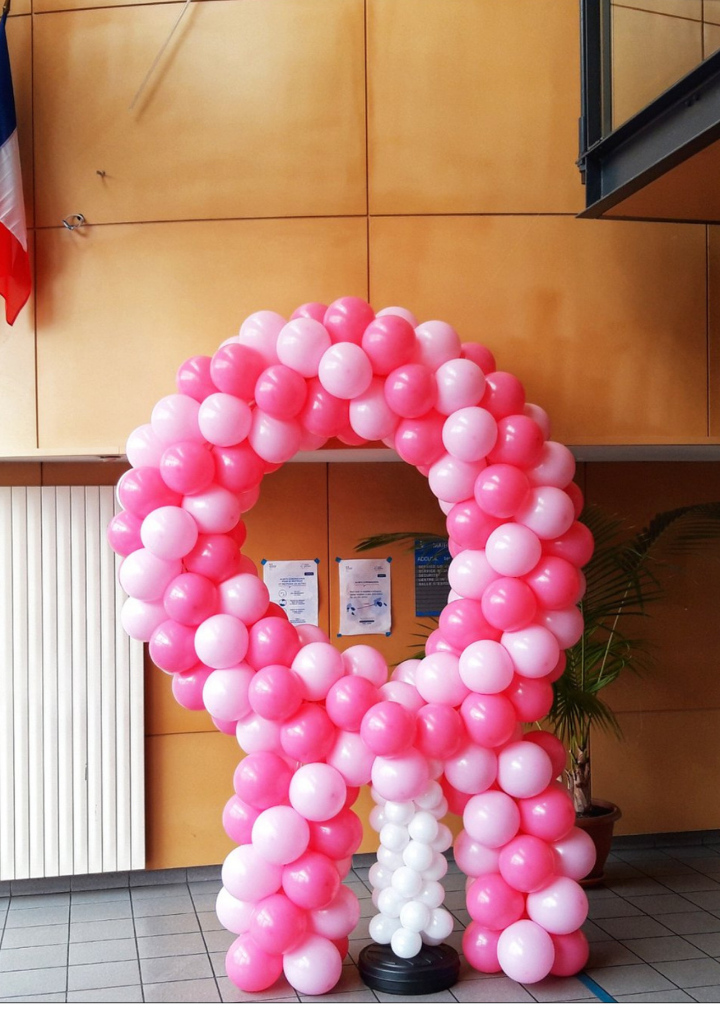 Ruban rose en ballons Hors Sol