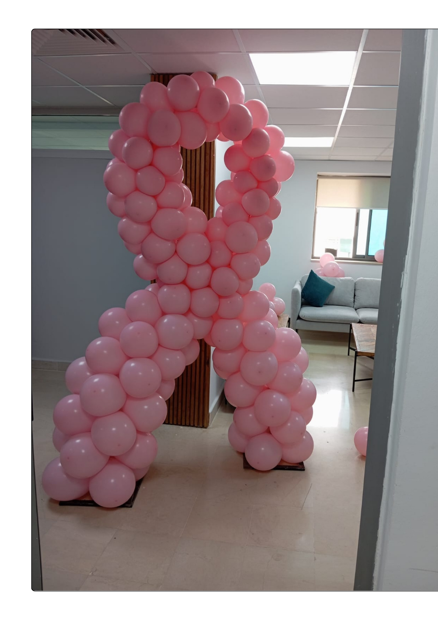 Ruban rose en ballons Hors Sol